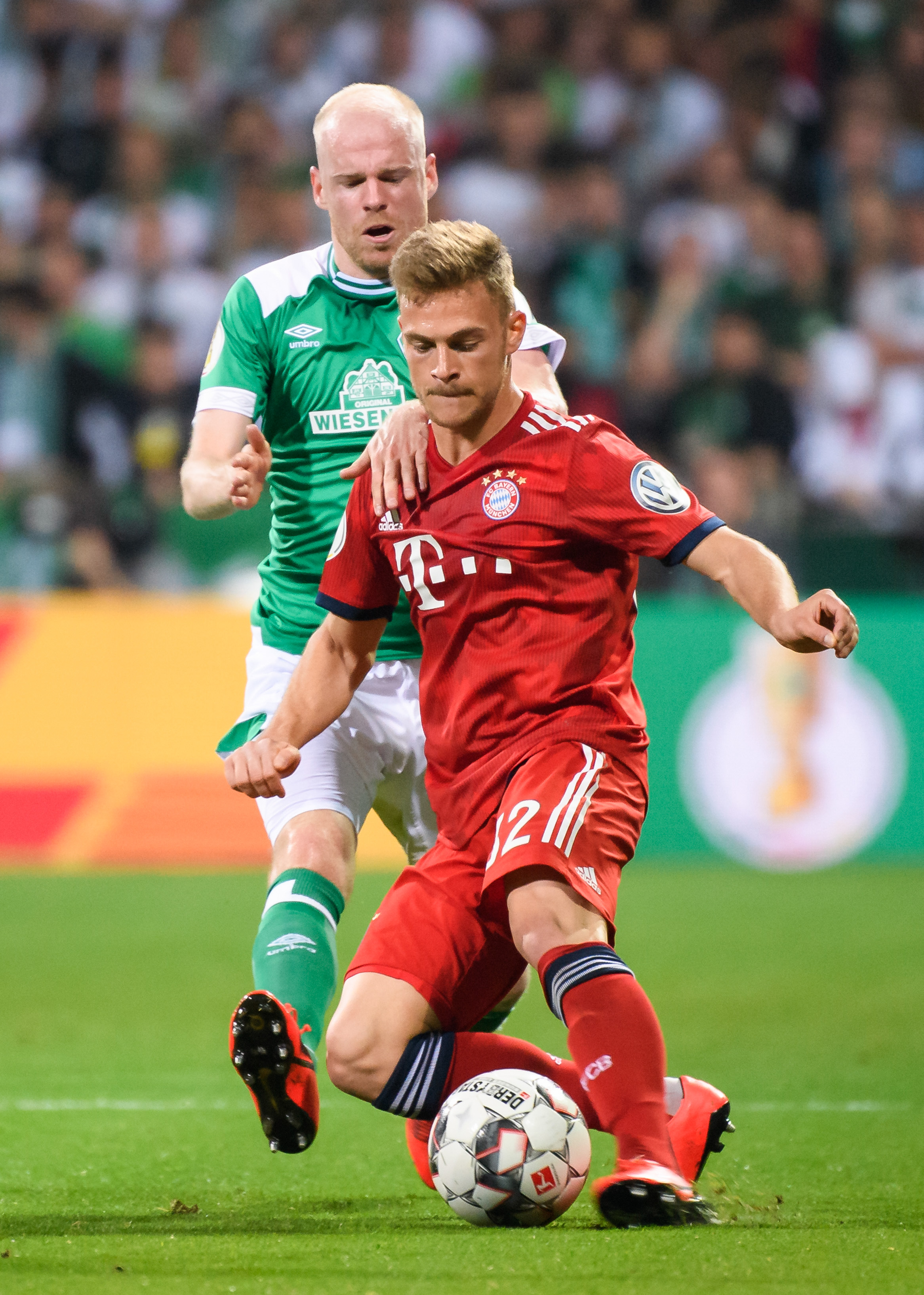 那利视为自 那利视为自