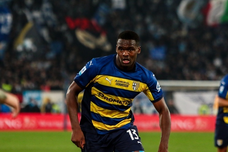 多夫比克目 多夫比克目