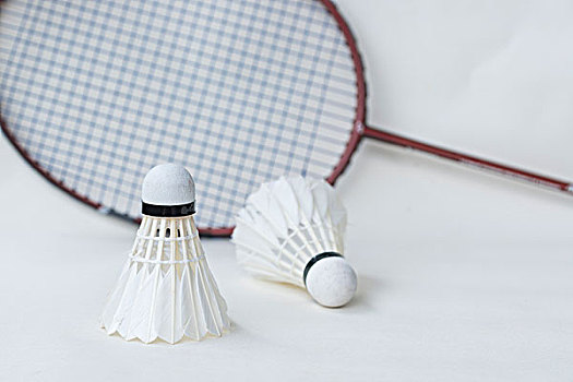 巧与坚定的 巧与坚定的