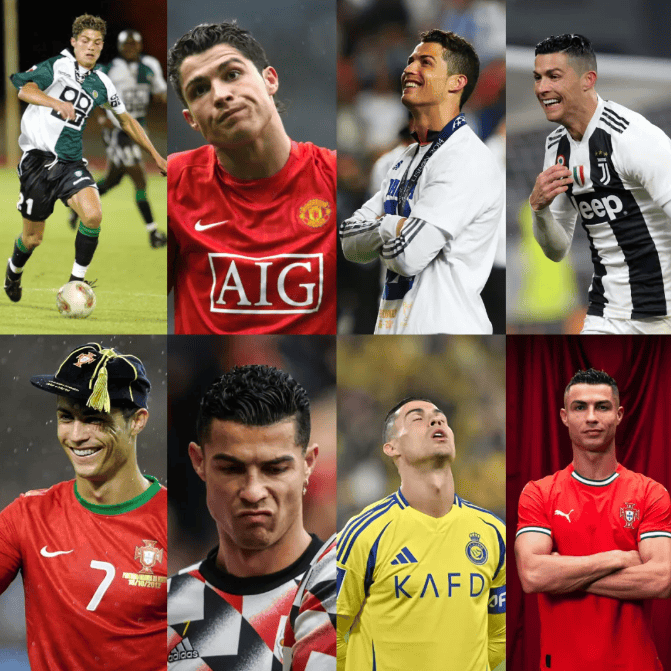 酯双面织的 酯双面织的