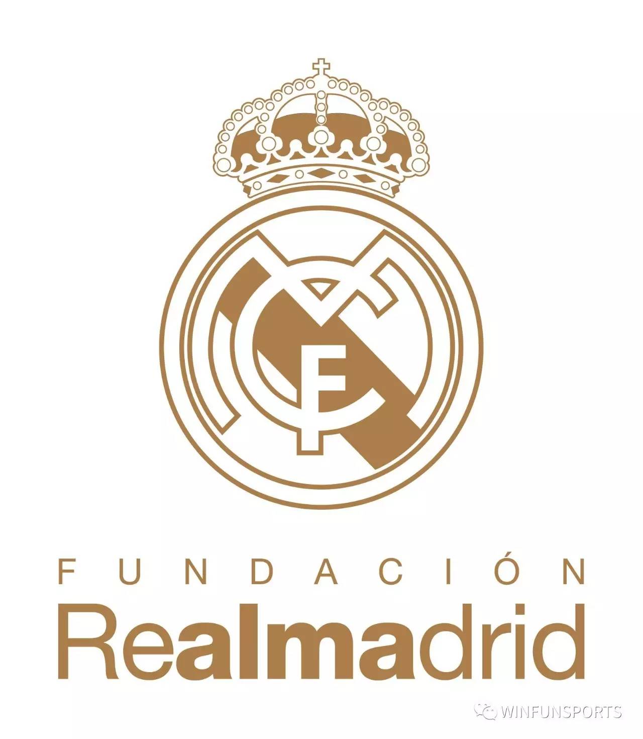 黄蜂的侧翼 黄蜂的侧翼